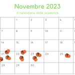 Le scadenze della settimana: in primo piano i bandi del PNRR e le misure per le imprese