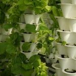 Contributi INPS, esonero per imprese agricole e autonomi: importo riconosciuto e scadenza
