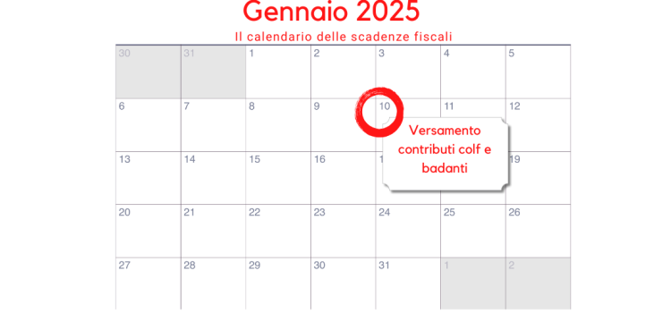 Contributi colf e badanti: in scadenza la quarta rata il 10 gennaio 2025