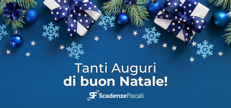 Buon Natale 2024 e felice anno nuovo dalla redazione di Scadenze Fiscali!