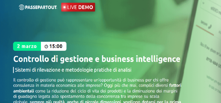 Controllo di gestione e business intelligence