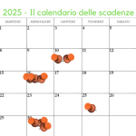 Scadenze fiscali aprile 2025: dall'IVA alla rottamazione quater