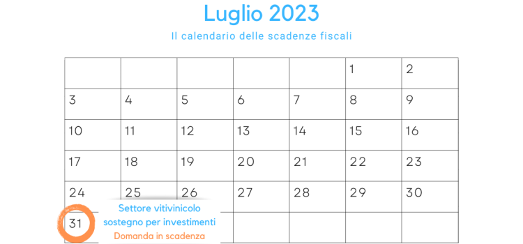 Settore vitivinicolo, sostegno per investimenti materiali e immateriali: domanda in scadenza il 31 luglio 2023